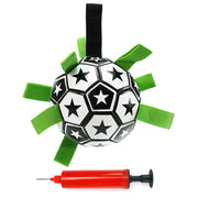 Interactive Dog Toys Pet Chew Toy Dogs Football Toys