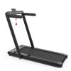 2.25HP Motorized 2-in-1 Folding Treadmill with Bluetooth Speaker, Remote Control